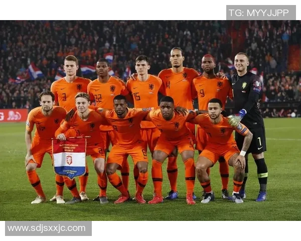 北爱尔兰与荷兰足球对决精彩回顾与赛后分析 北爱尔兰与荷兰足球对决精彩回顾与赛后分析