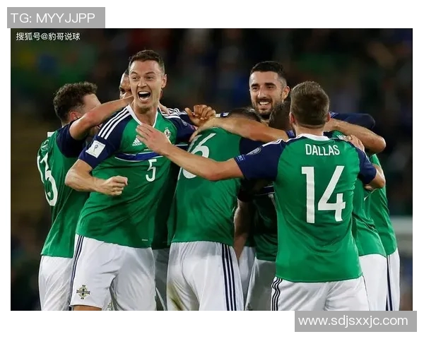 法国与爱尔兰热身赛前瞻分析双方阵容及战术对决展望 法国与爱尔兰热身赛前瞻分析双方阵容及战术对决展望