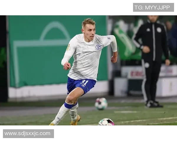 沙尔克04主场噩梦：汉堡绝杀，降级危机逼近