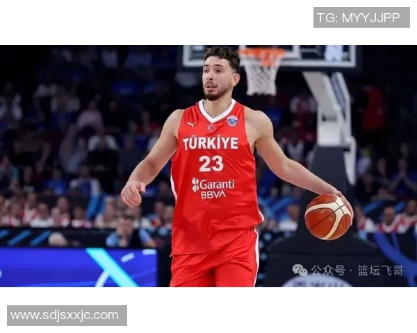 申京：全力以赴的团队球员愿意为胜利承担防守与进攻双重责任