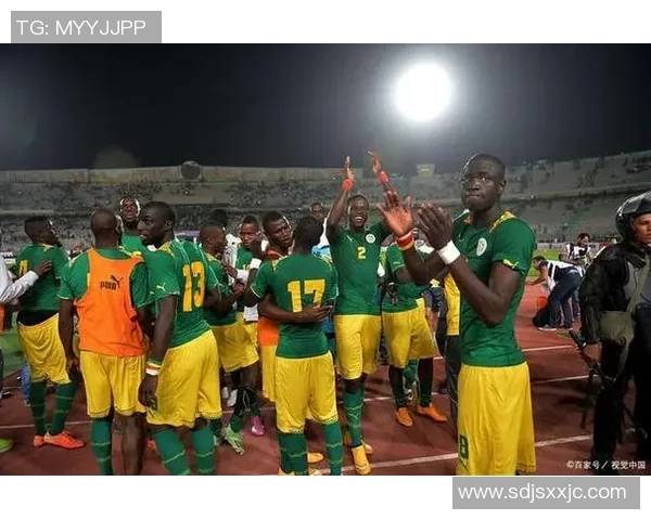 科特迪瓦与刚果展开友谊赛激战球迷期待精彩对决与精彩进球 科特迪瓦与刚果展开友谊赛激战球迷期待精彩对决与精彩进球