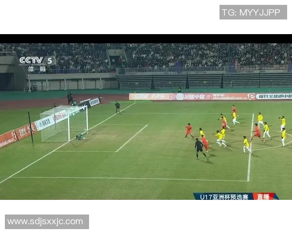 柳新区足球比赛直播盛况空前球迷齐聚共享激情时刻